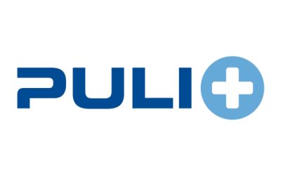 Sito internet Puli+